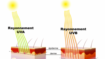 Bienfaits et méfaits du soleil