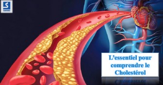 Comprendre le cholestérol