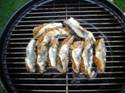 Sardines farcies aux herbes ou au citron, ouencore à la tapenade et au basilic.