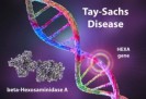Maladie de Tay-Sachs et la maladie de Sandhoff