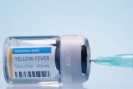 La fi&egrave;vre jaune et vaccination 